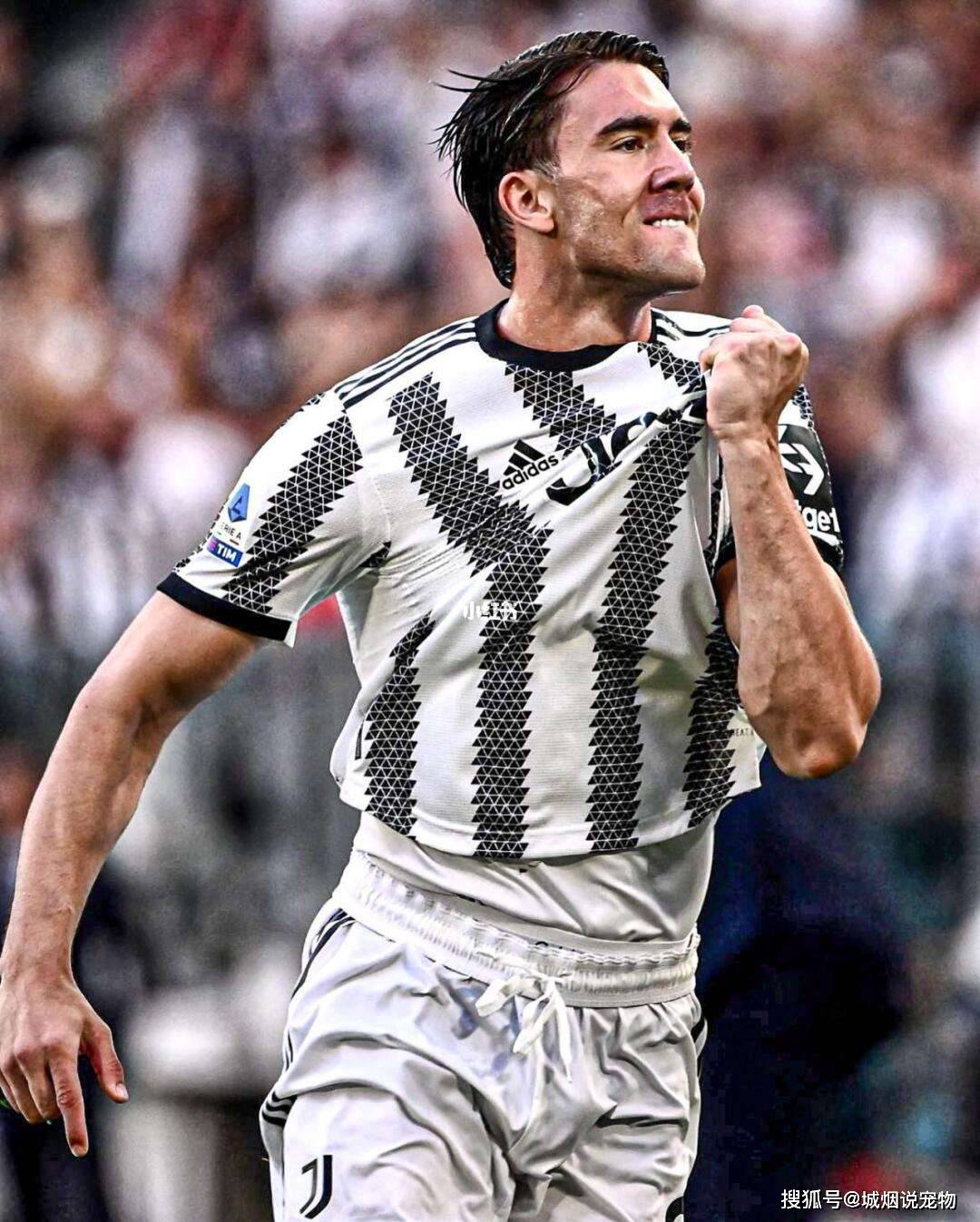 弗拉霍维奇, 图多尔也逐, 教练提供了 弗拉霍维奇, 图多尔也逐, 教练提供了